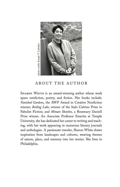 If the Owl Calls: A Novel