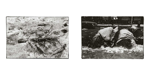 The Woodcutter's Christmas: A Classic Holiday Fable