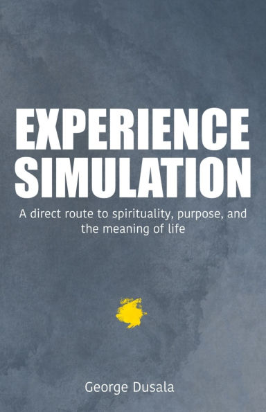 Experience Simulation: A Direct Route To Spirituality, Purpose, And The Meaning Of Life