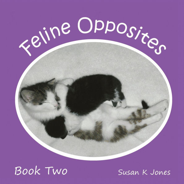 Feline Opposites Book Two