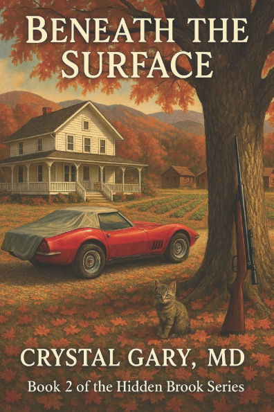 Beneath the Surface: Book 2 Hidden Brook LARGE PRINT