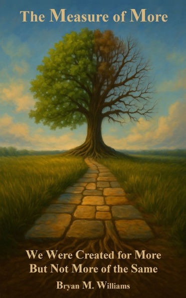 The Measure of More: We Were Created for More-But Not More of the Same