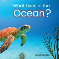 Title: What Lives in the Ocean: A CVI-Friendly Book for Young Readers, Author: Rachel Worden