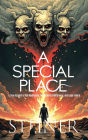 A Special Place: A True Account of HOA Negligence, Institutional Indifference, and Legal Failure